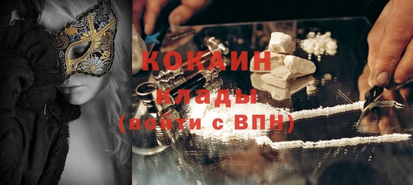 трава Белокуриха