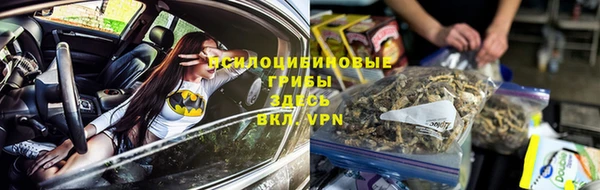 шишки Белоозёрский