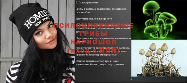 трава Белокуриха