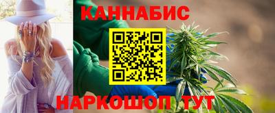 гашик Моздок
