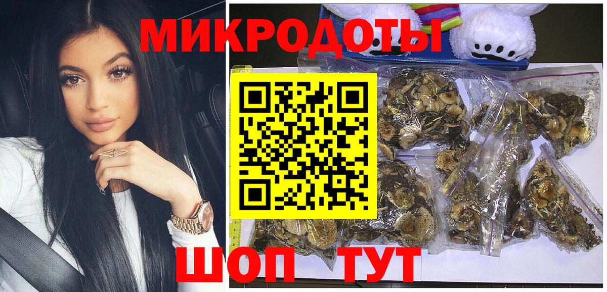 Черняховск  Галлюциногенные грибы Cubensis  Галлюциногенные грибы Psilocybine cubensis  Вход с VPN 