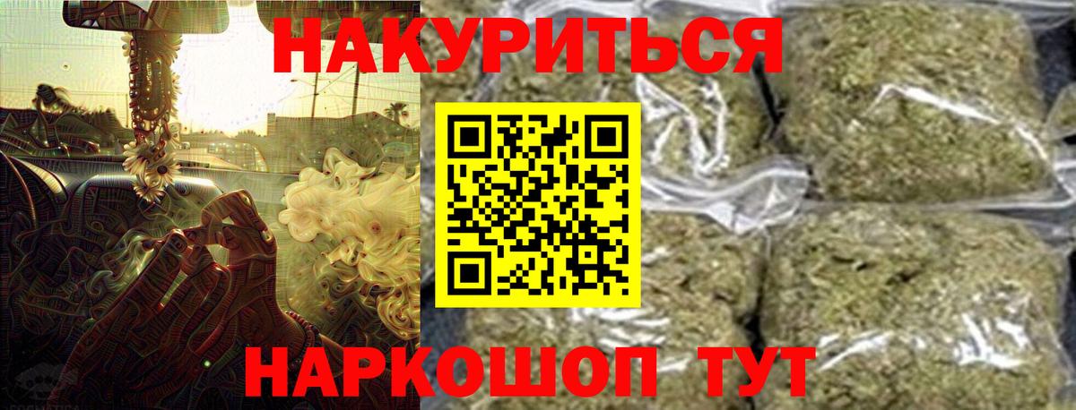 Канабис планчик Черняховск